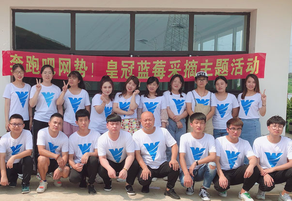 【奔跑吧網(wǎng)勢！】藍莓采摘主題團建活動